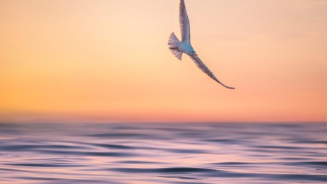 Spiritualität im Jahreskreis ï¿½ ELG21 (pixabay)