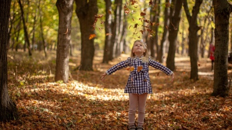 Spiritualität im Jahreskreis ï¿½ SEASON-V (pixabay)