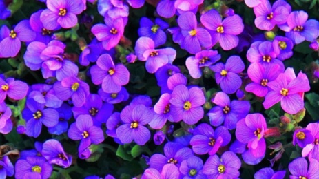 Spiritualität im Jahreskreis ï¿½ pixabay Mylene2401