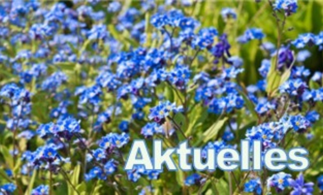 Aktuelles 