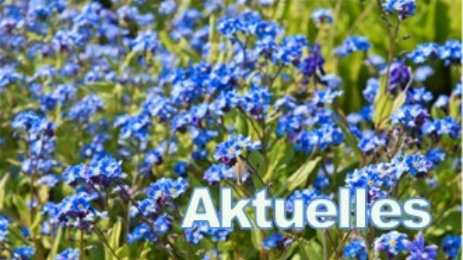 Aktuelles im Überblick 