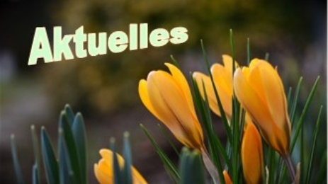 Aktuelles im Überblick 